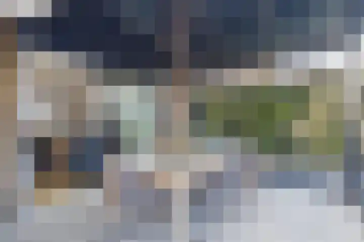 Grevelingen 9 Terneuzen thumbnail 36