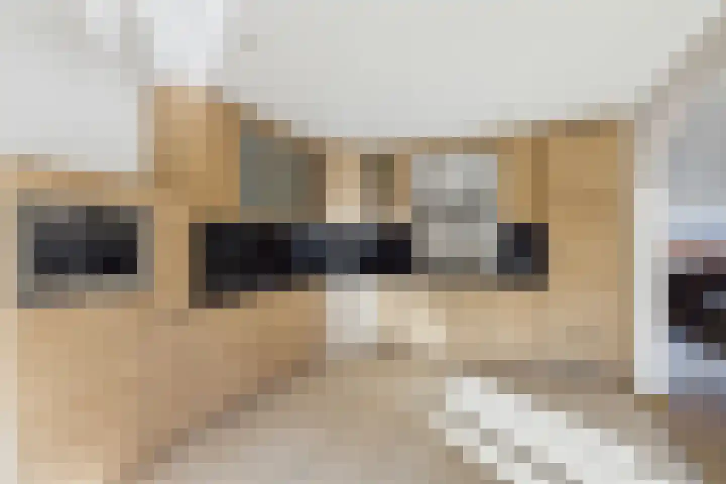 Grevelingen 9 Terneuzen thumbnail 5
