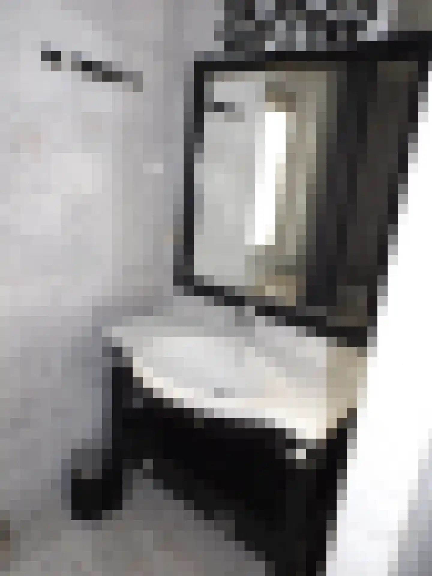 Grevelingenhof 18 Scharendijke thumbnail 14
