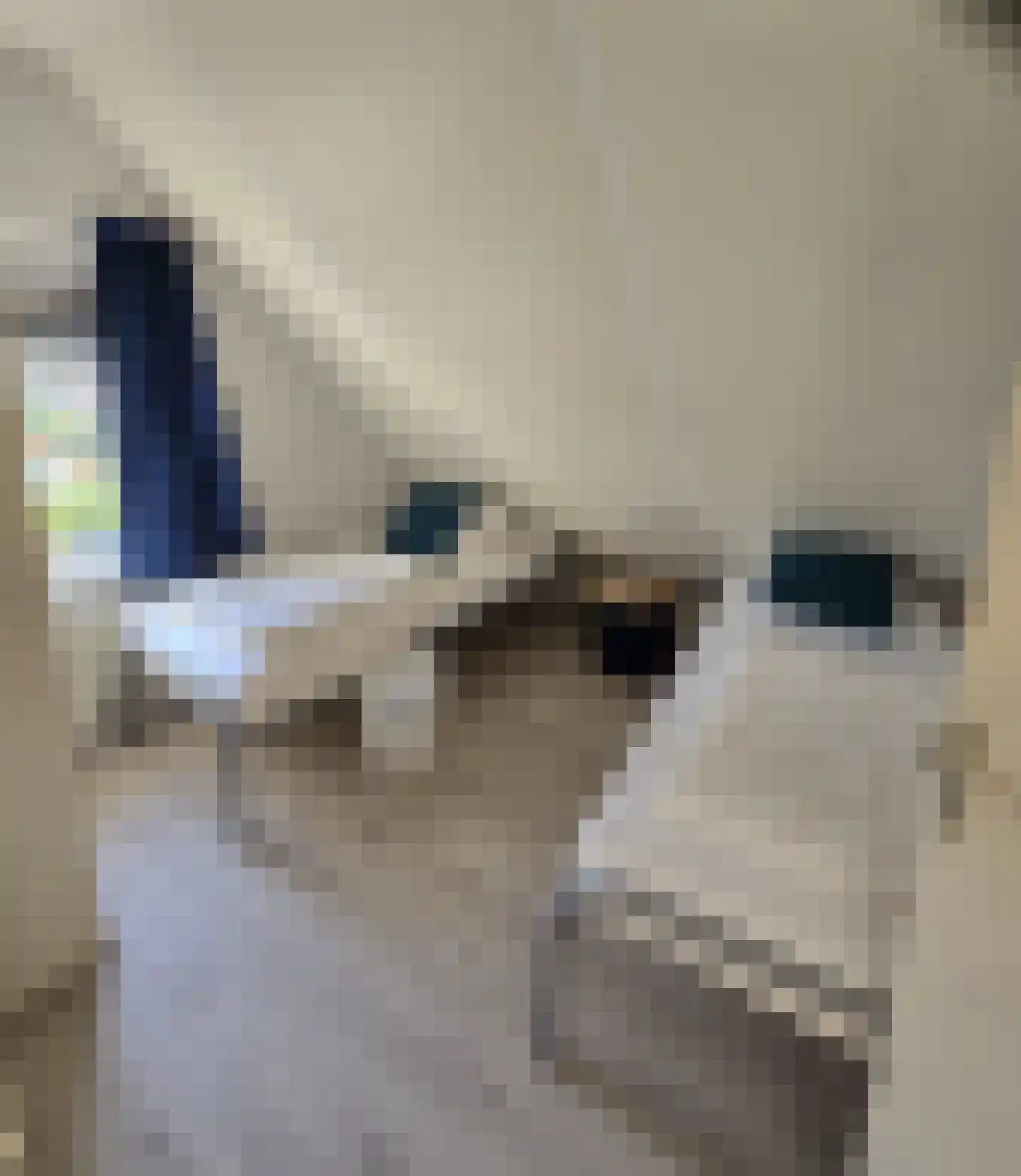 Grevelingenhof 18 Scharendijke thumbnail 20