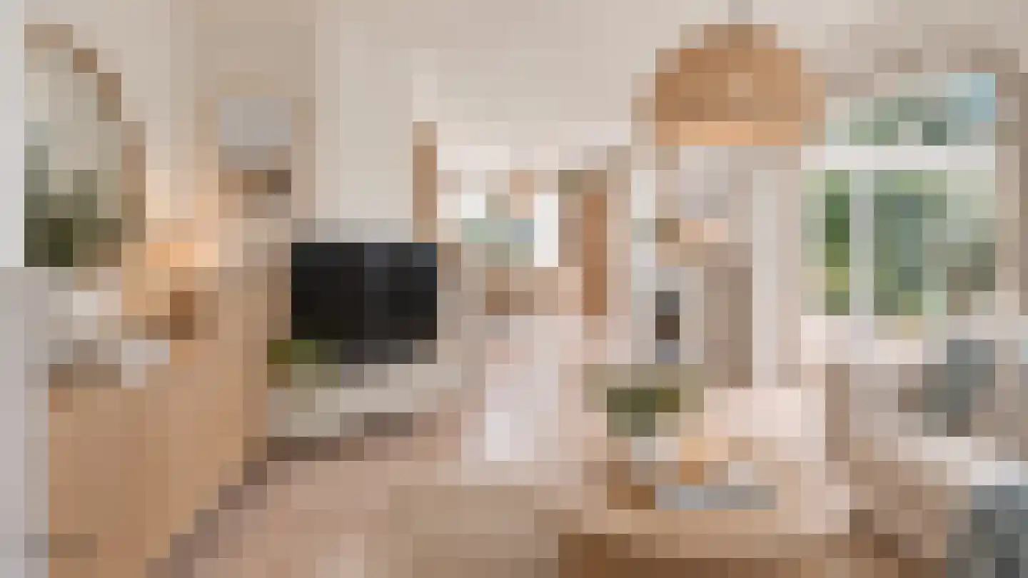 Grevelingenhof 33 Scharendijke thumbnail 12