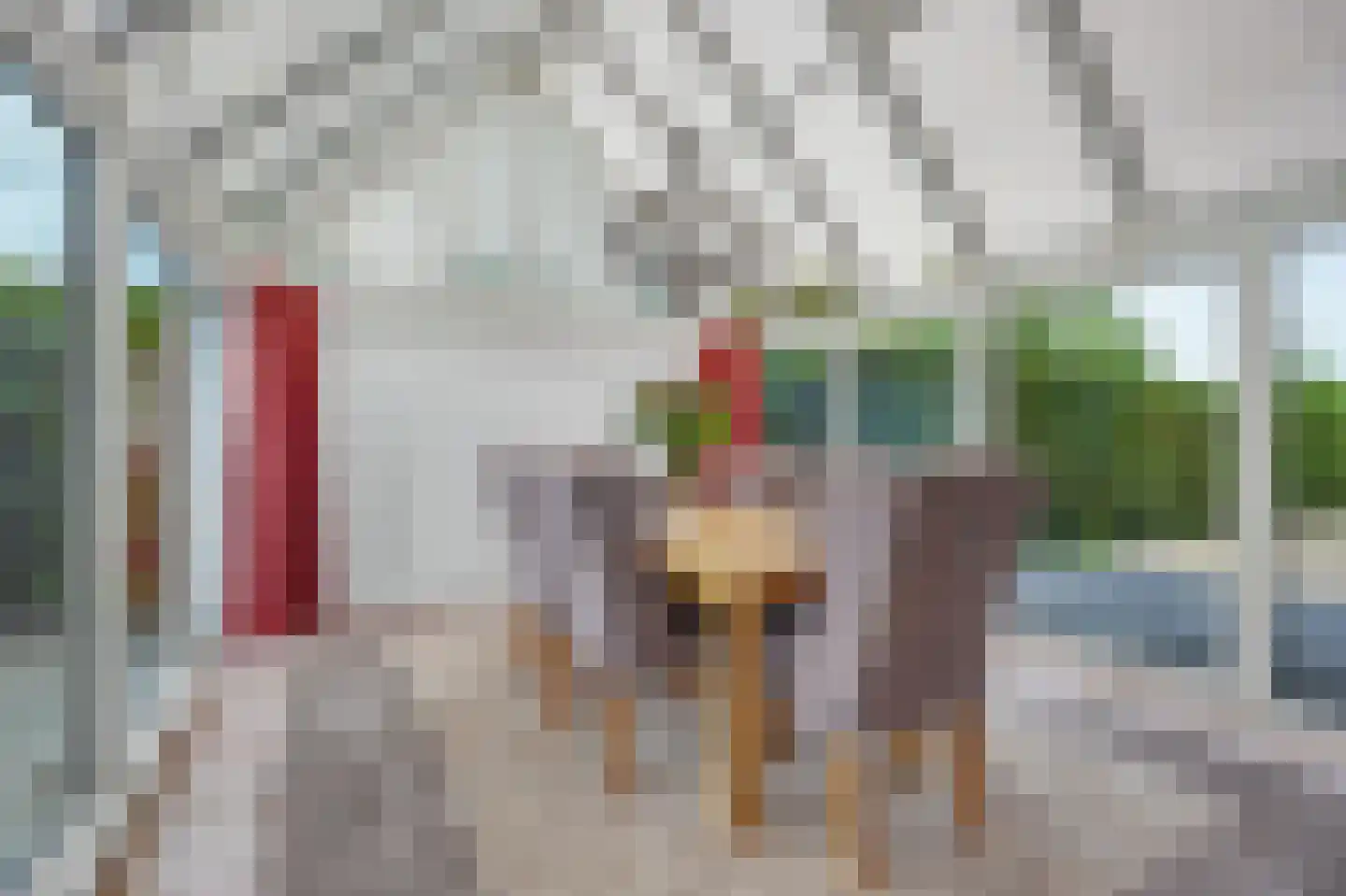 Grevelingenhof 33 Scharendijke thumbnail 13
