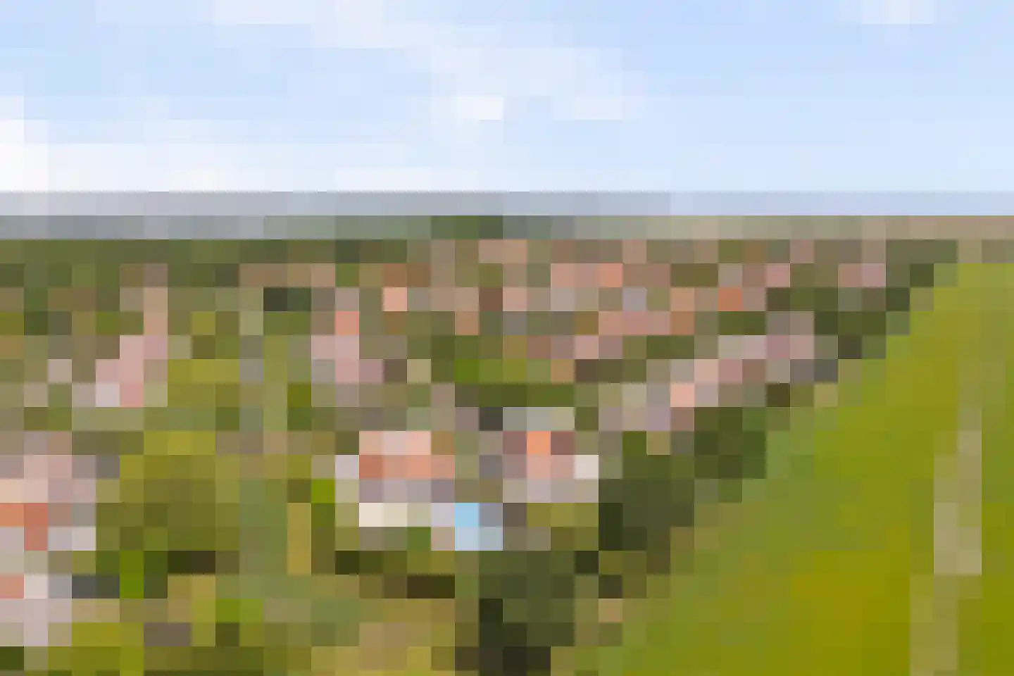 Grevelingenhof 33 Scharendijke thumbnail 4