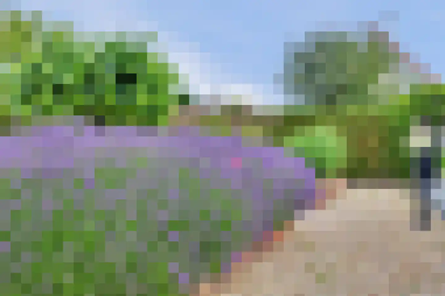 Grevelingenhof 33 Scharendijke thumbnail 42