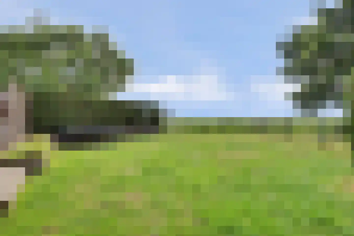 Grevelingenhof 33 Scharendijke thumbnail 46