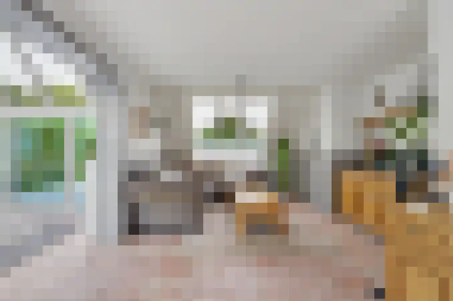Grevelingenhof 33 Scharendijke thumbnail 5