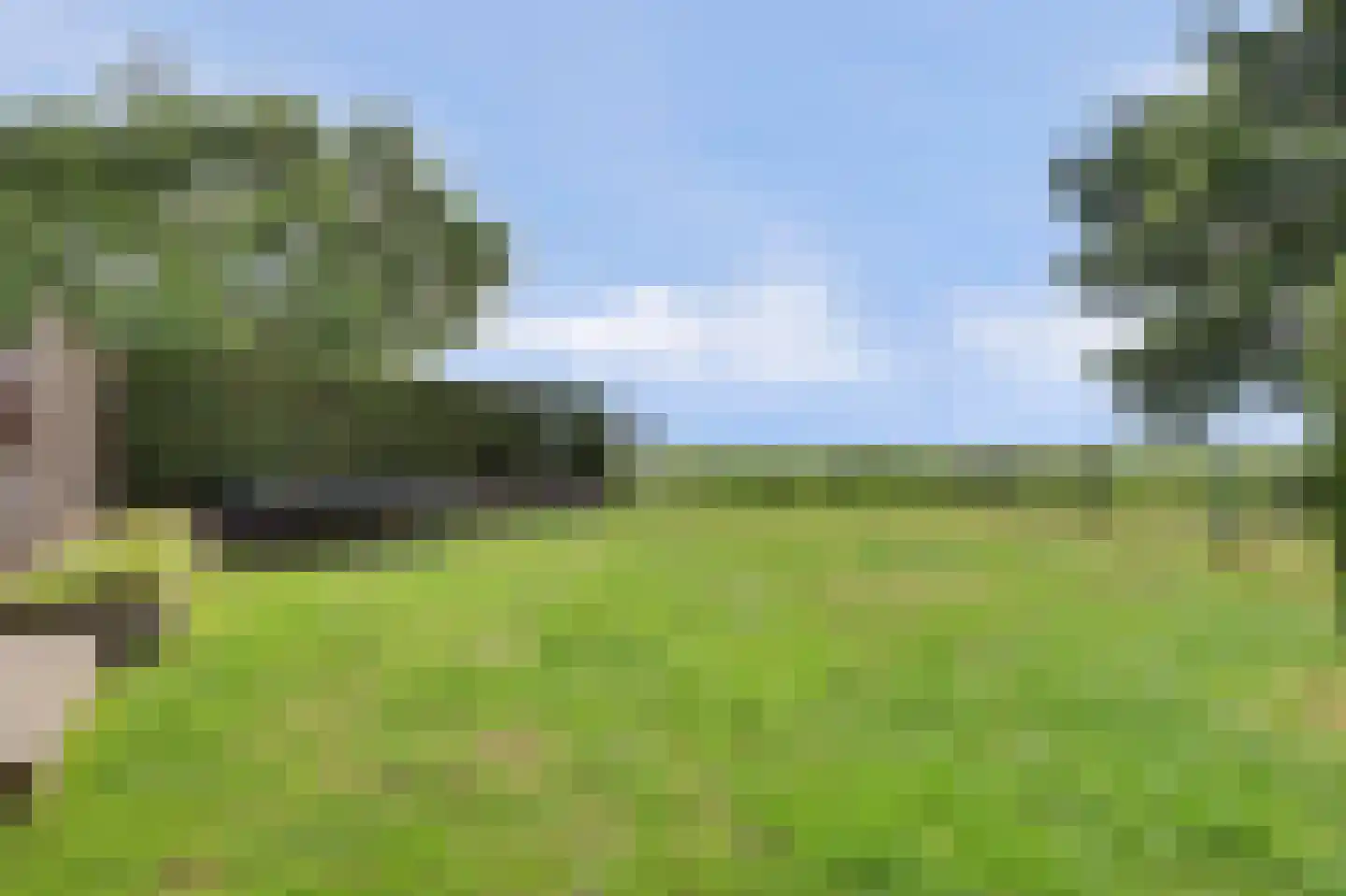 Grevelingenhof 33 Scharendijke thumbnail 54
