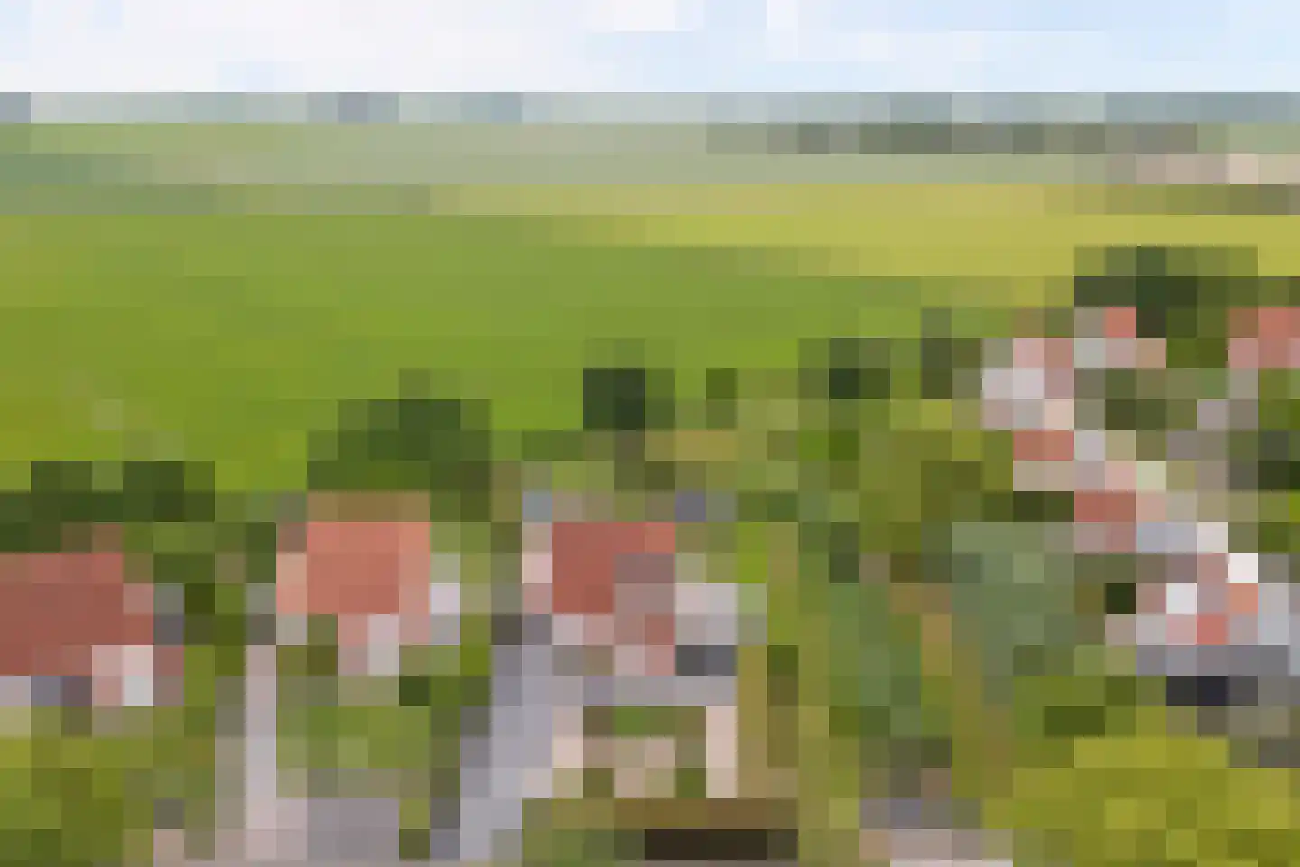 Grevelingenhof 33 Scharendijke thumbnail 55