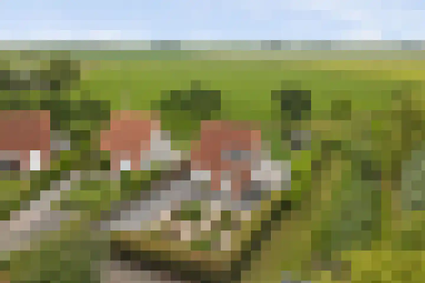 Grevelingenhof 33 Scharendijke thumbnail 57