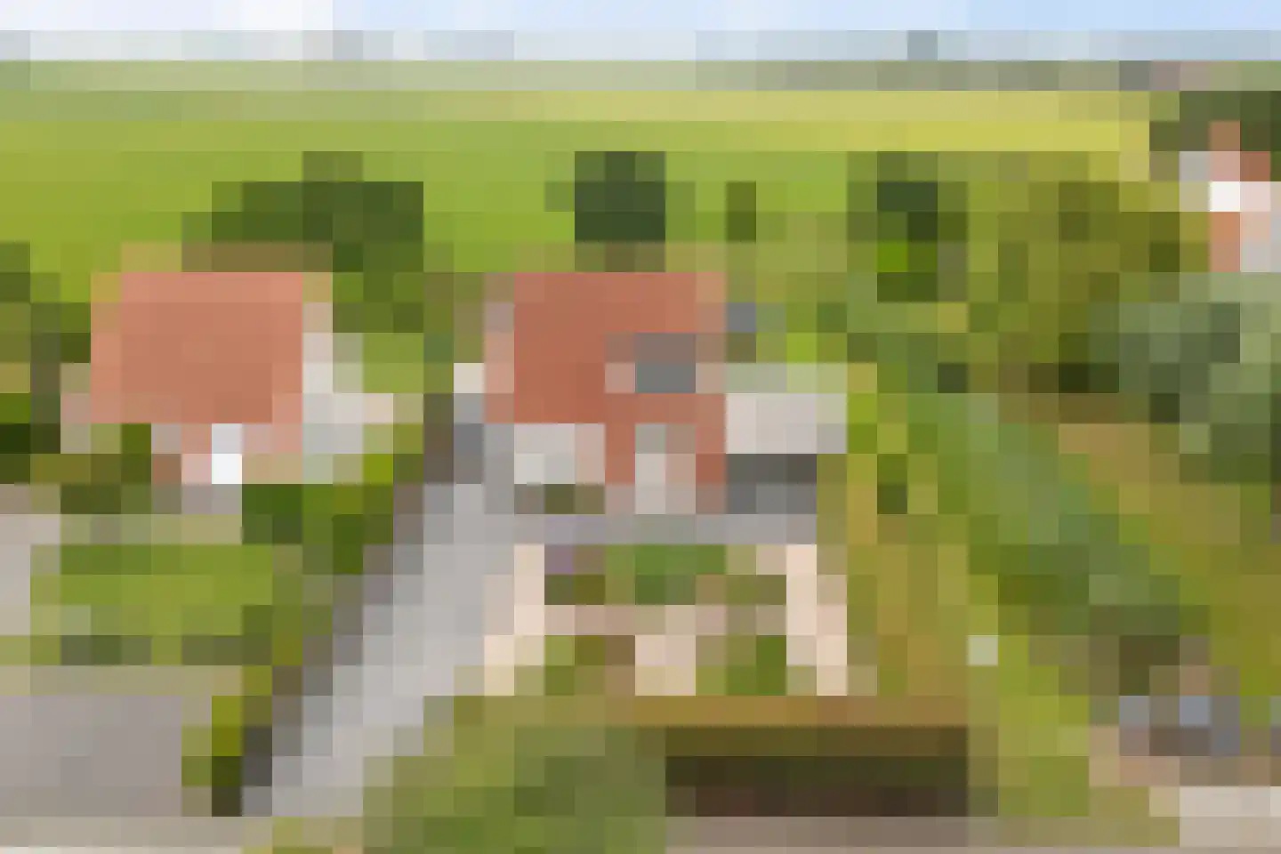 Grevelingenhof 33 Scharendijke thumbnail 58