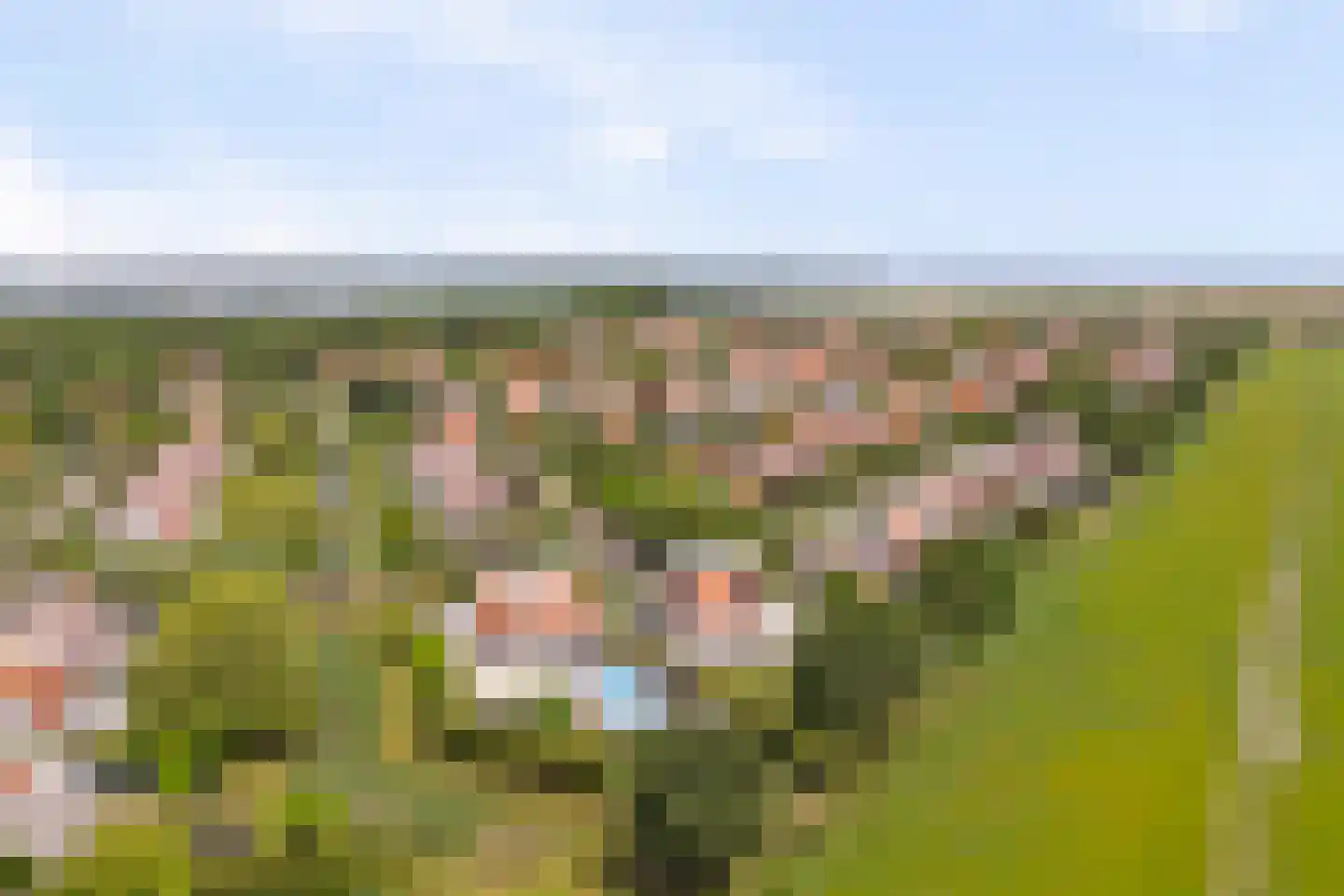 Grevelingenhof 33 Scharendijke thumbnail 63