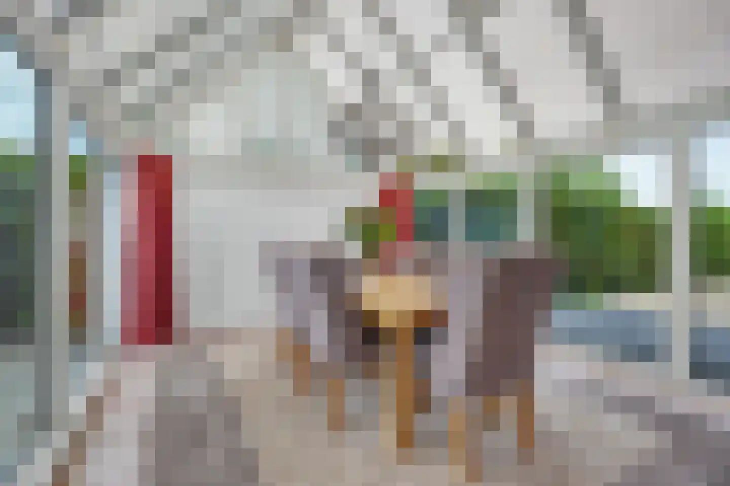 Grevelingenhof 33 Scharendijke thumbnail 8