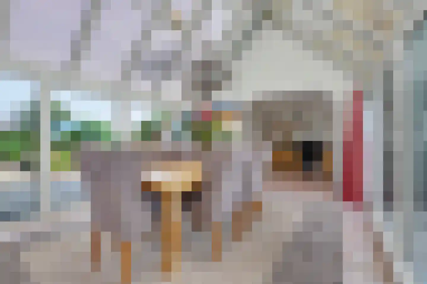 Grevelingenhof 33 Scharendijke thumbnail 9