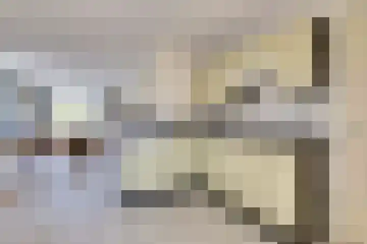 Grevelingenhof 6 Scharendijke thumbnail 10
