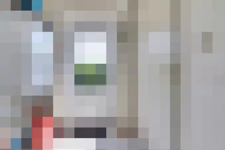 Grevelingenhof 6 Scharendijke thumbnail 13