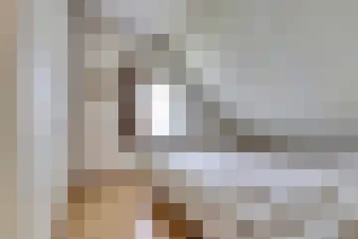 Grevelingenhof 6 Scharendijke thumbnail 21