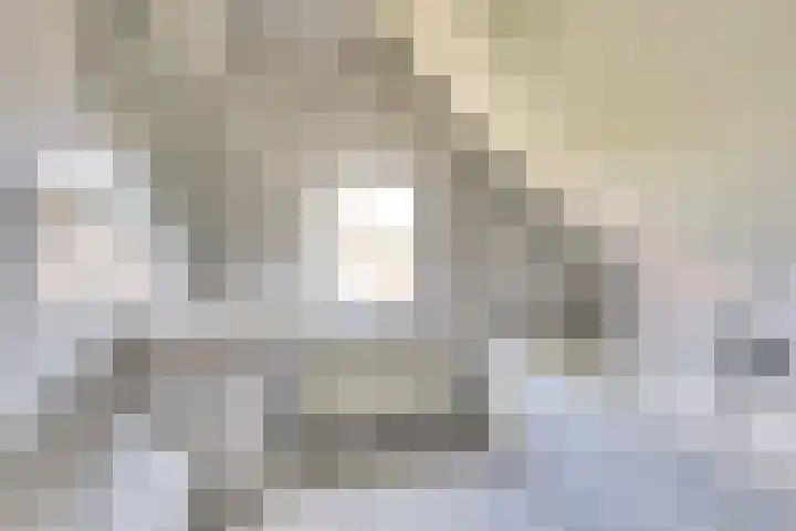 Grevelingenhof 6 Scharendijke thumbnail 23