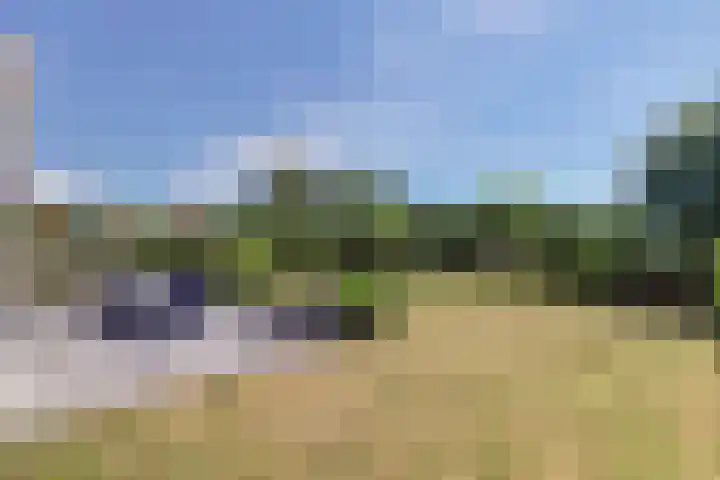 Grevelingenhof 6 Scharendijke thumbnail 27
