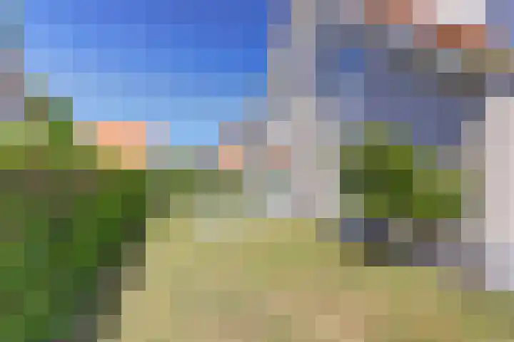 Grevelingenhof 6 Scharendijke thumbnail 28