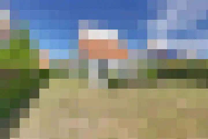 Grevelingenhof 6 Scharendijke thumbnail 29
