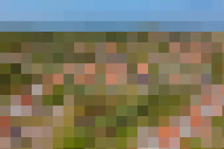 Grevelingenhof 6 Scharendijke thumbnail 31