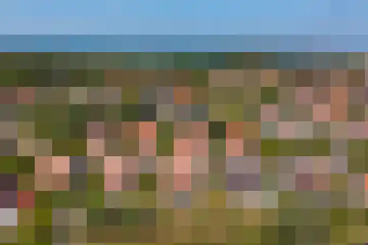 Grevelingenhof 6 Scharendijke thumbnail 32