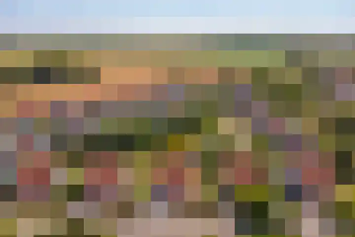 Grevelingenhof 6 Scharendijke thumbnail 33