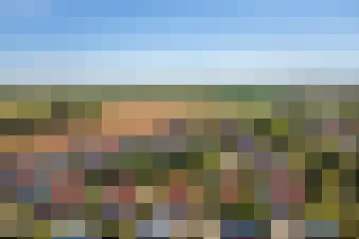 Grevelingenhof 6 Scharendijke thumbnail 34