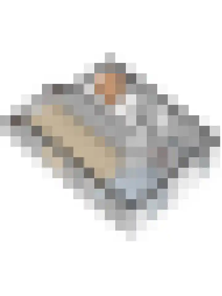 Grevelingenhof 6 Scharendijke thumbnail 41