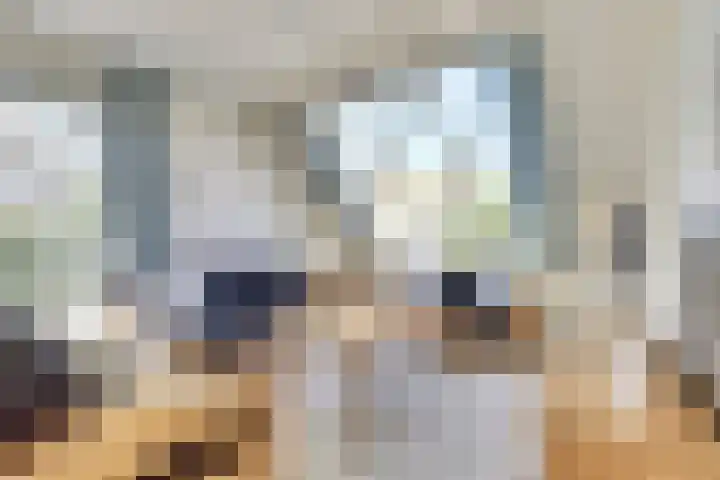 Grevelingenhof 6 Scharendijke thumbnail 6