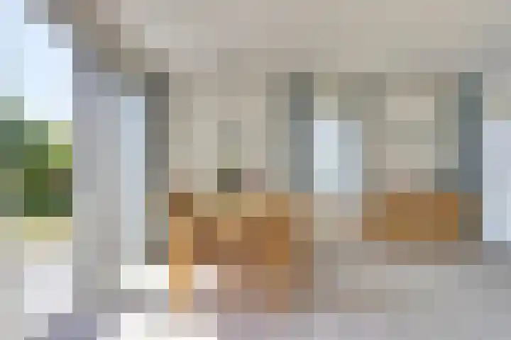 Grevelingenhof 6 Scharendijke thumbnail 9
