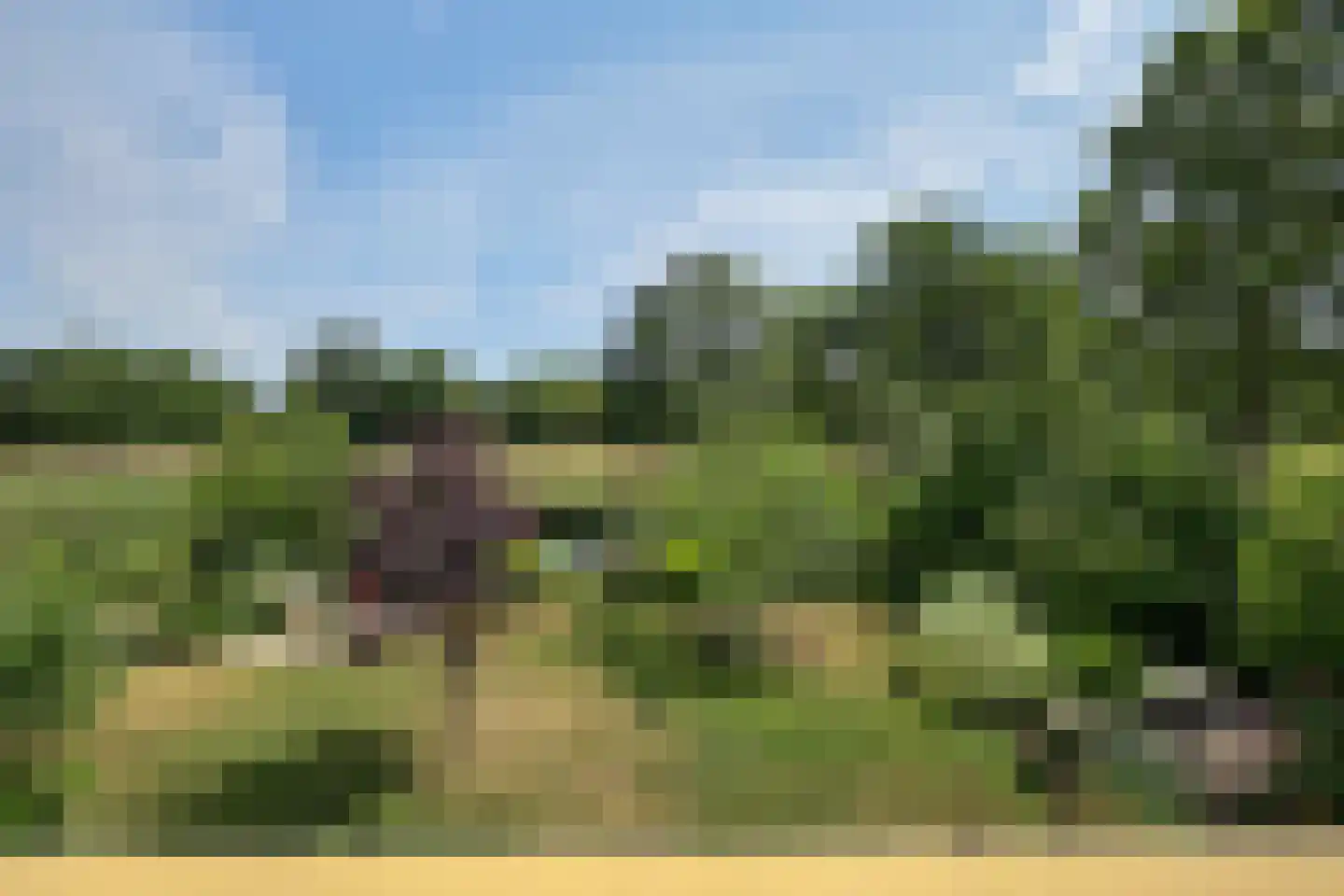 Grevelingenhout 127 Bruinisse thumbnail 37