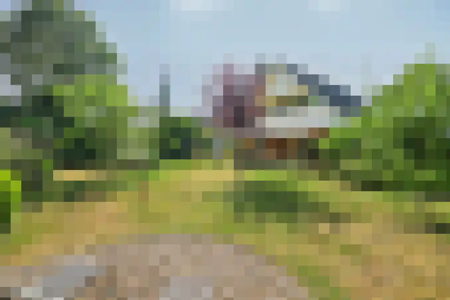 Grevelingenhout 127 Bruinisse thumbnail 4