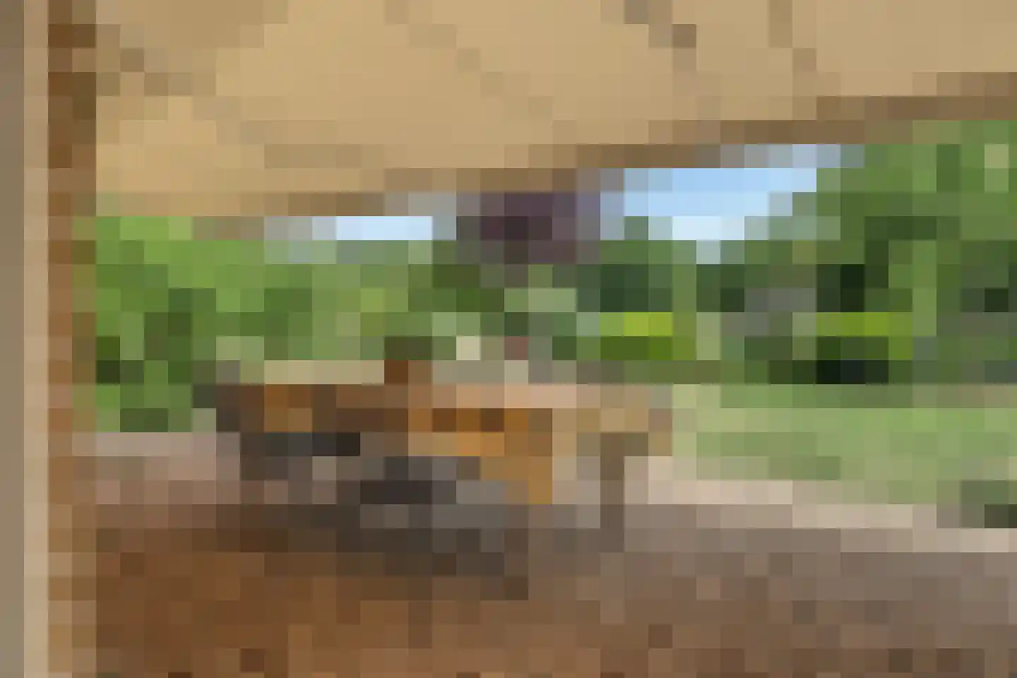 Grevelingenhout 127 Bruinisse thumbnail 47