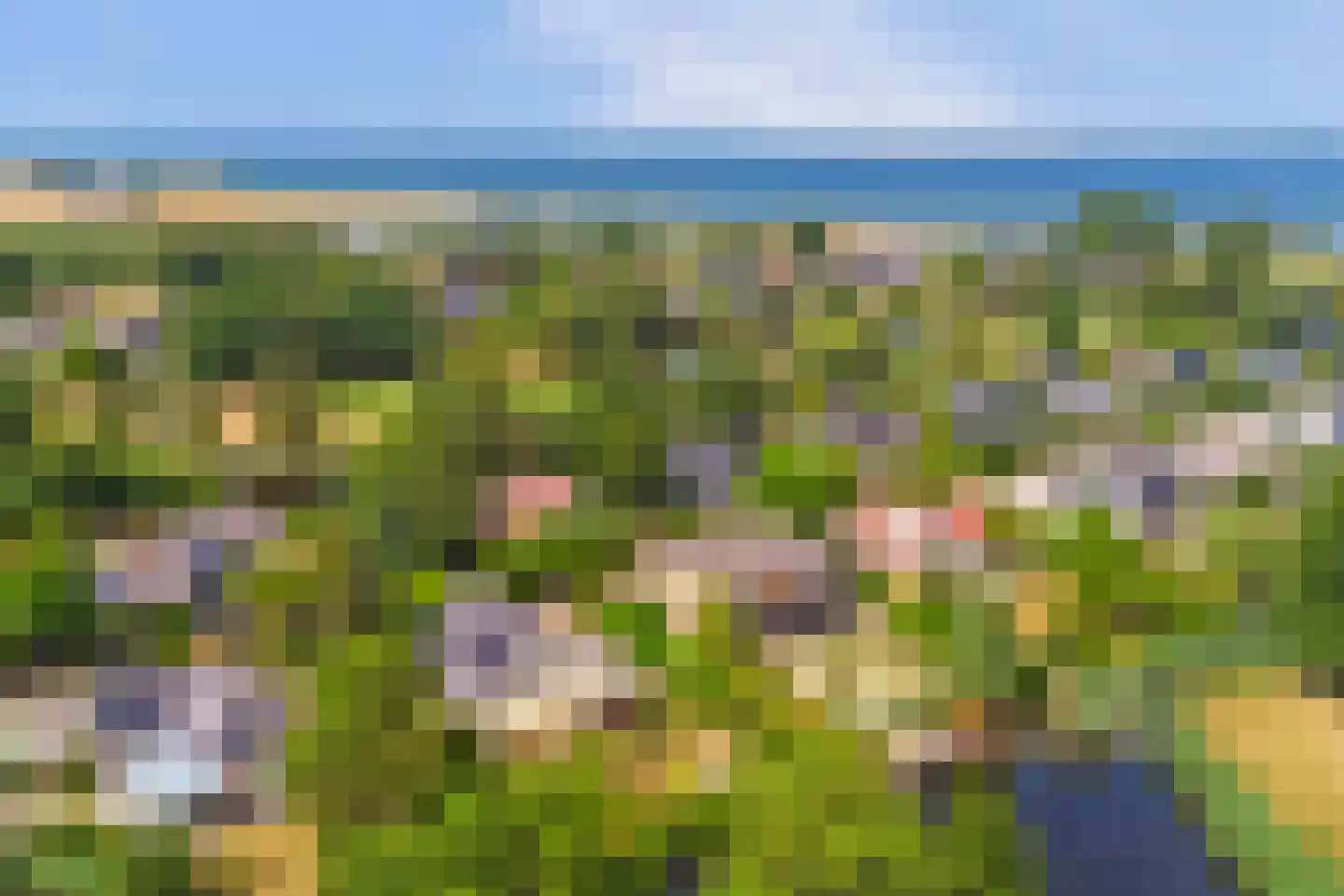 Grevelingenhout 127 Bruinisse thumbnail 5