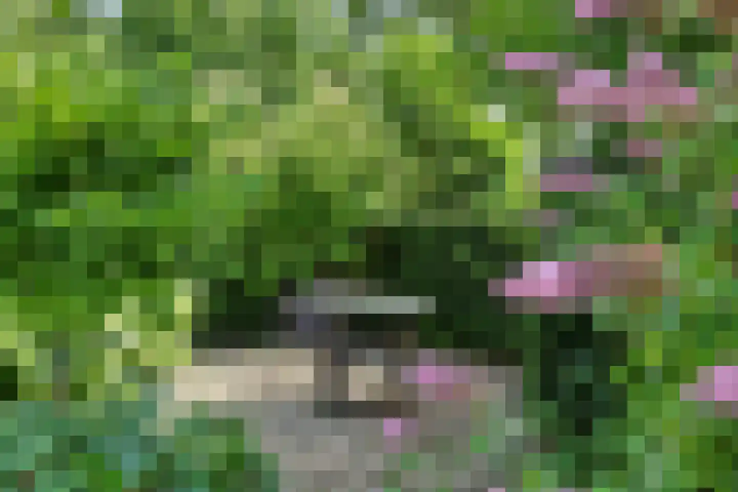 Grevelingenhout 127 Bruinisse thumbnail 50