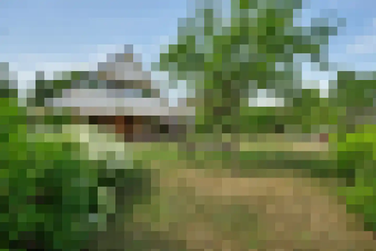 Grevelingenhout 127 Bruinisse thumbnail 52