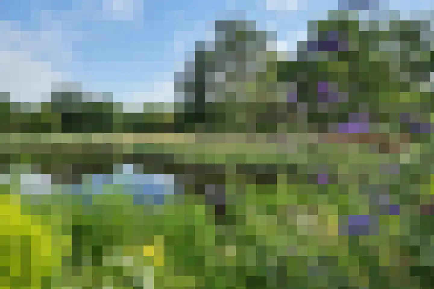 Grevelingenhout 127 Bruinisse thumbnail 53
