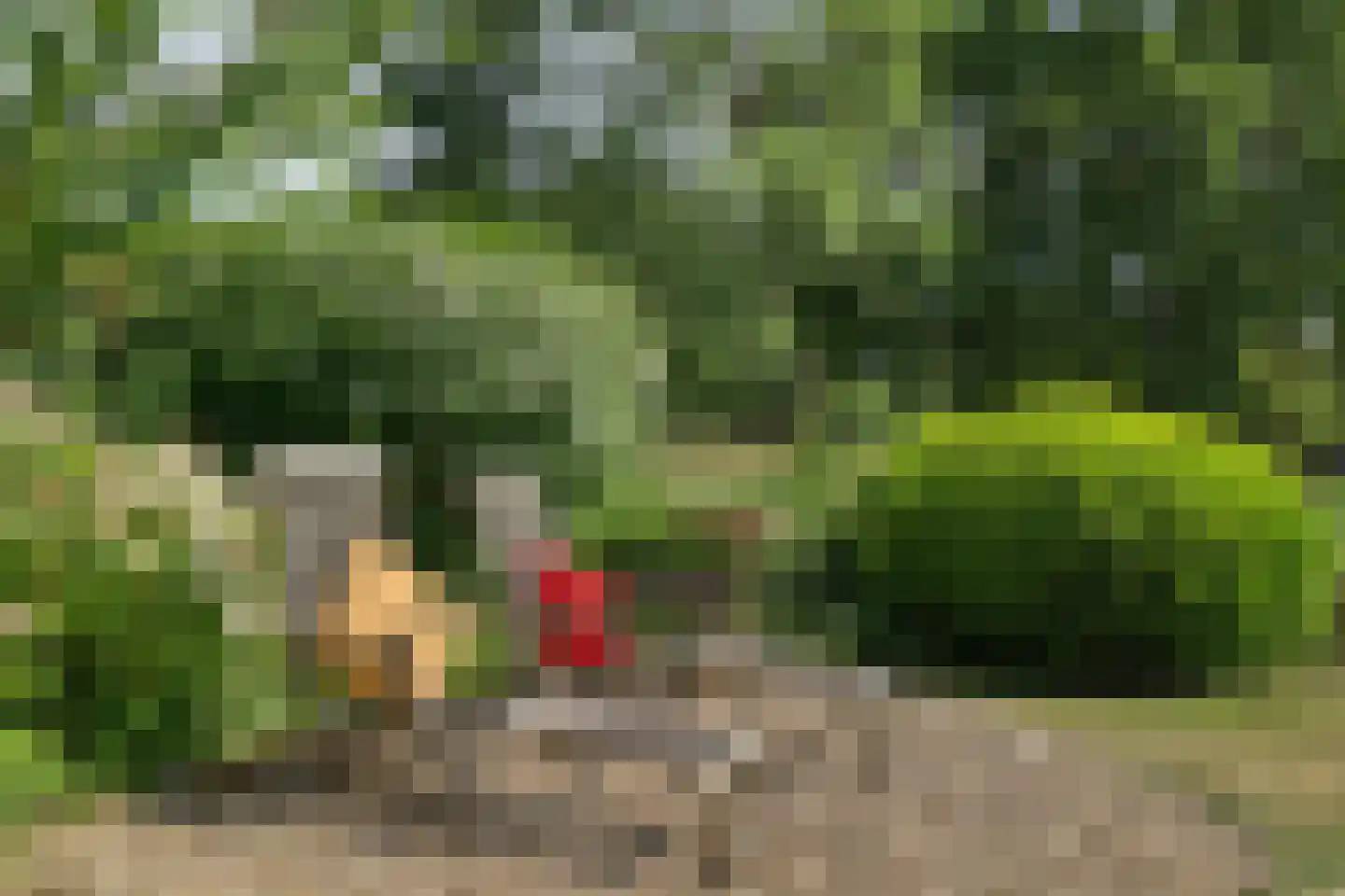 Grevelingenhout 127 Bruinisse thumbnail 55