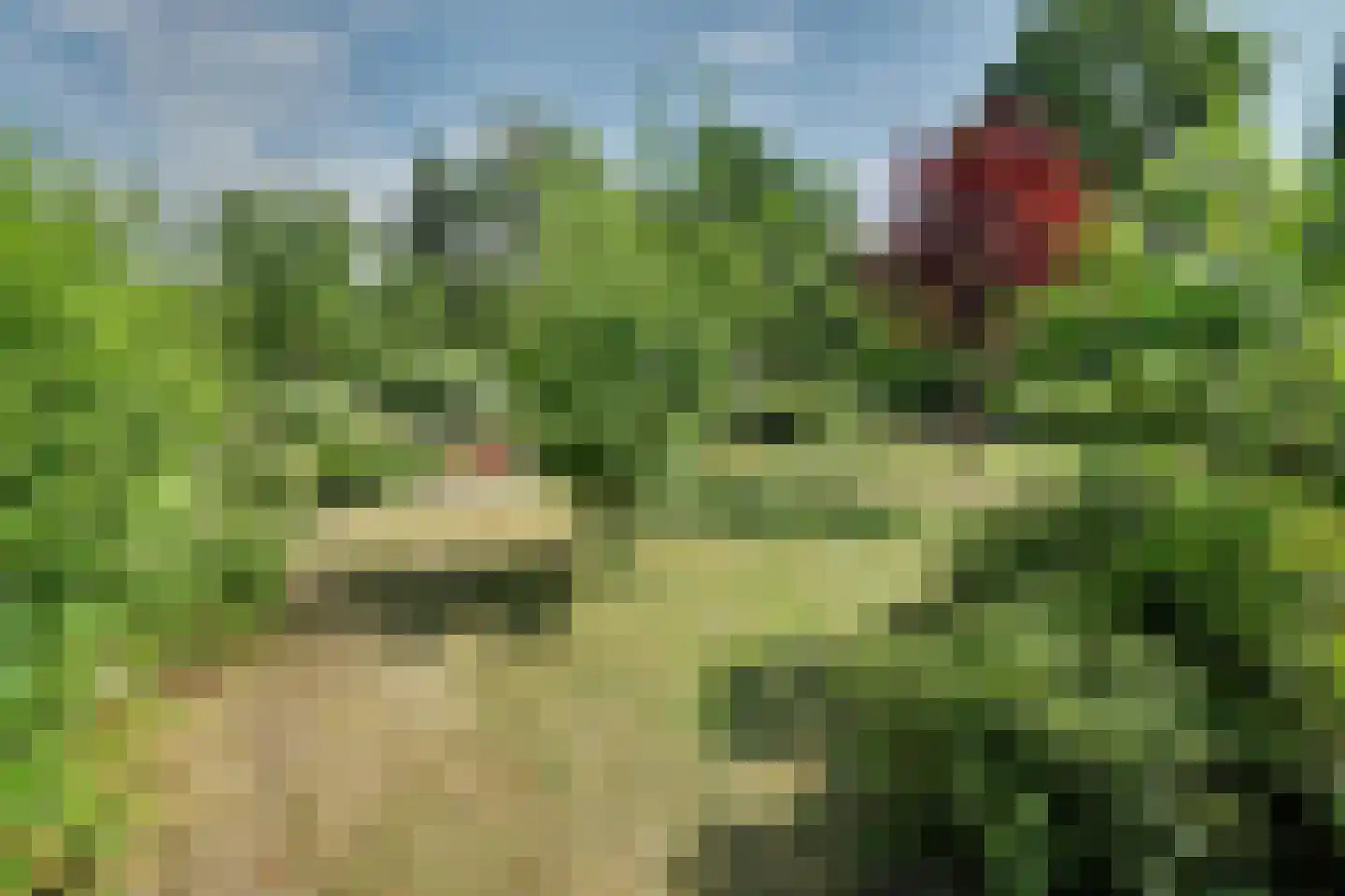 Grevelingenhout 127 Bruinisse thumbnail 57