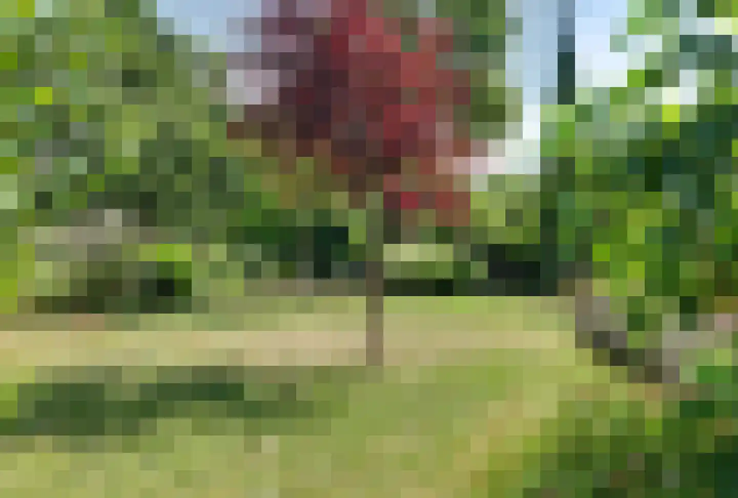 Grevelingenhout 127 Bruinisse thumbnail 58