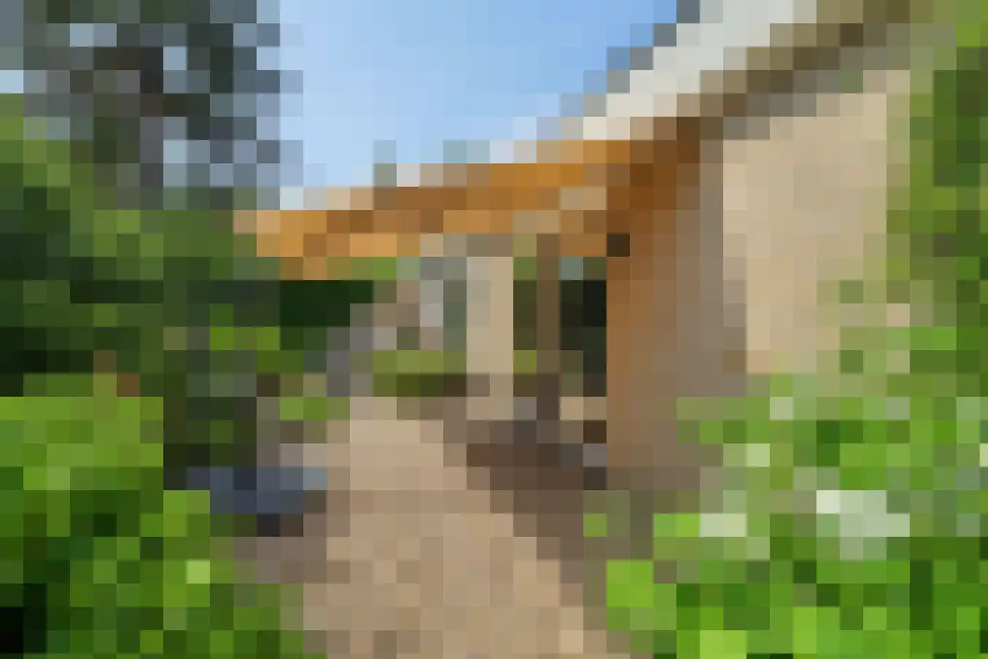 Grevelingenhout 127 Bruinisse thumbnail 59
