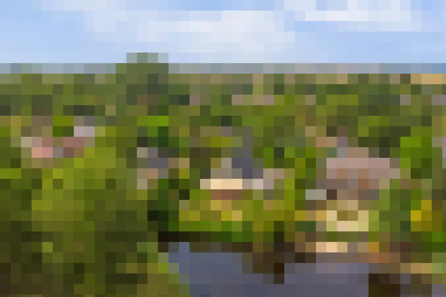 Grevelingenhout 127 Bruinisse thumbnail 63