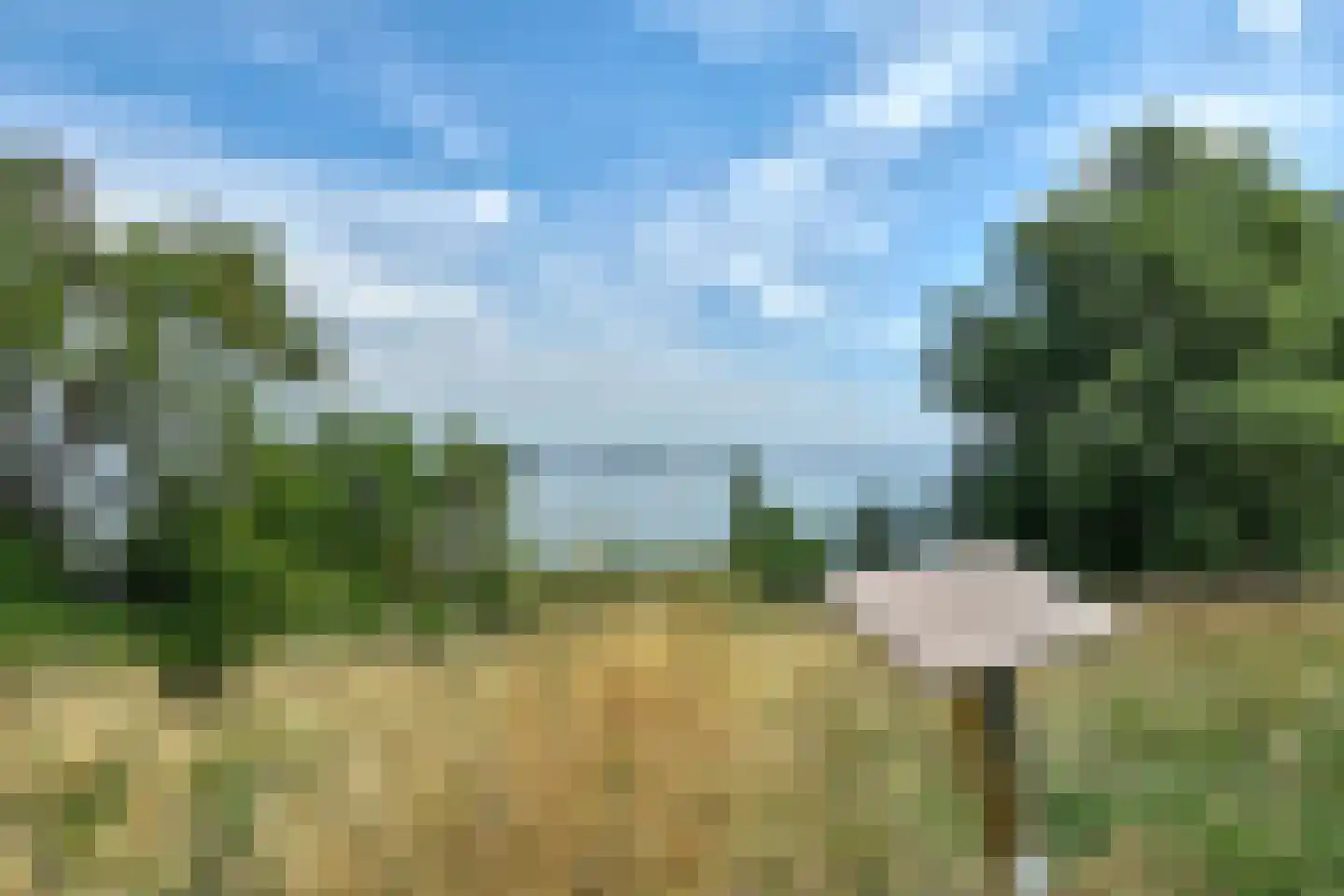 Grevelingenhout 127 Bruinisse thumbnail 68