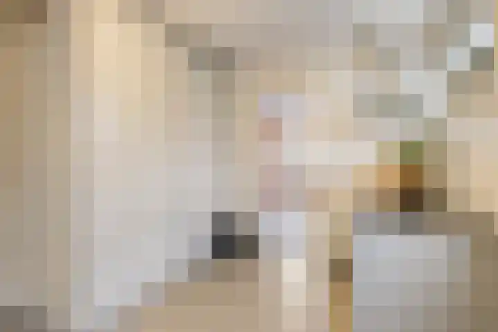 Grevelingenhout 173 Bruinisse thumbnail 22