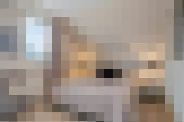 Grevelingenhout 173 Bruinisse thumbnail 31