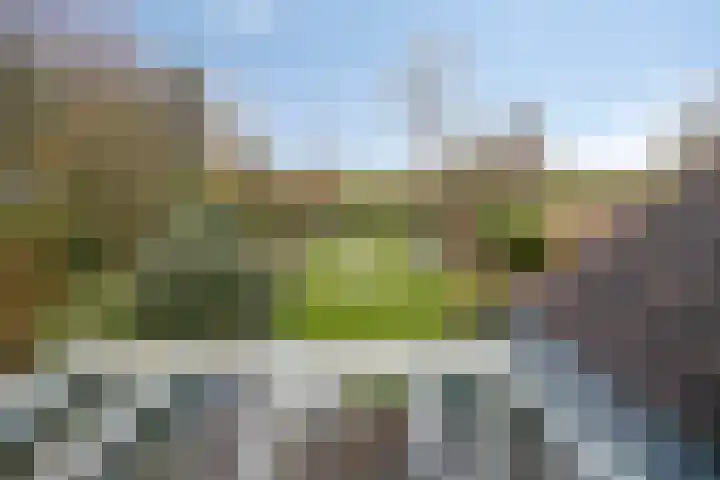 Grevelingenhout 173 Bruinisse thumbnail 33