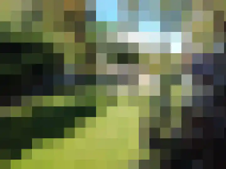 Grevelingenhout 173 Bruinisse thumbnail 35