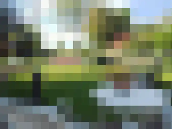Grevelingenhout 173 Bruinisse thumbnail 36