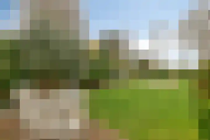 Grevelingenhout 173 Bruinisse thumbnail 37